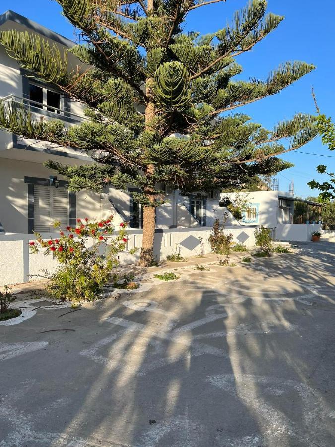 Dionisia Apartments 8 克法洛斯 外观 照片
